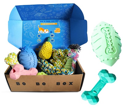 10 Best Dog Subscription Boxes to Buy in 2022
