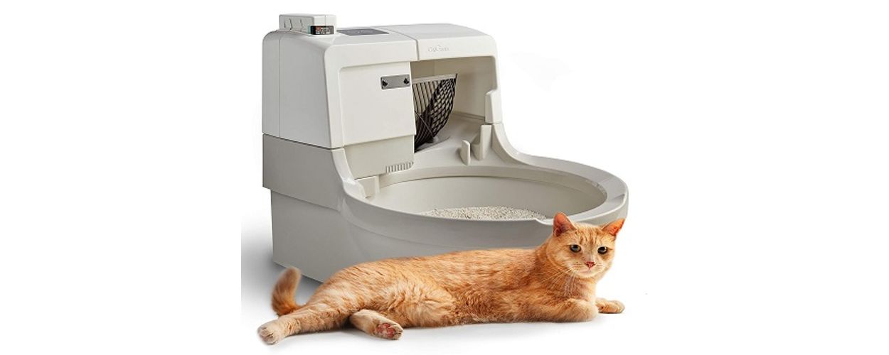 6 Best Self-Cleaning Litter Boxes